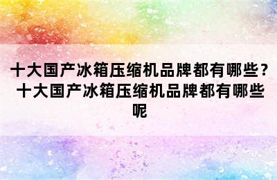 十大国产冰箱压缩机品牌都有哪些？ 十大国产冰箱压缩机品牌都有哪些呢